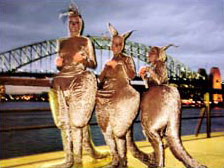 Edwina Blush's Table Hopping Kangaroos delight overseas visitors